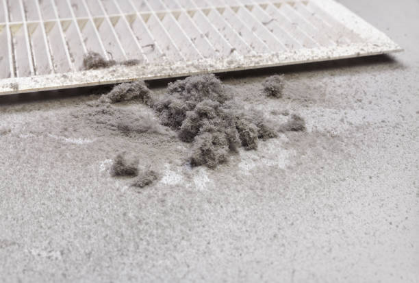 Best Dryer Vent Cleaning Services  in Great Neck, NY