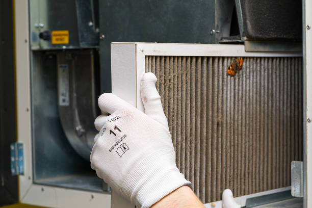 Best Affordable Air Duct Cleaning  in Great Neck, NY