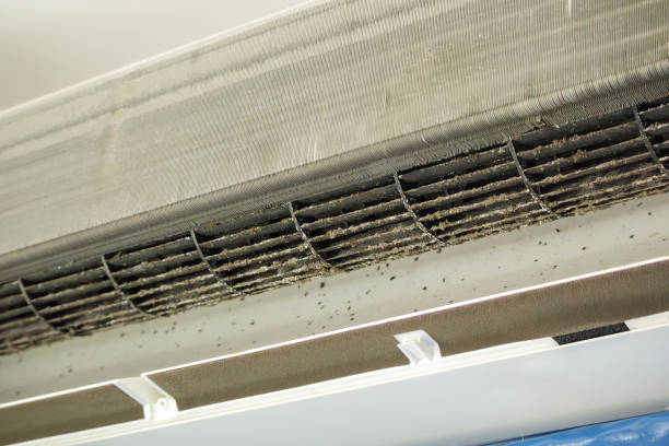 Best Affordable HVAC Duct Cleaning  in Great Neck, NY