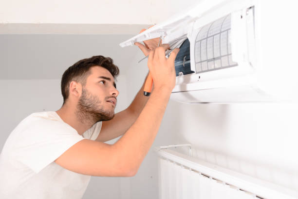 Best Air Duct Mold Removal  in Great Neck, NY